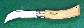 Click here for image.