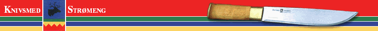 Stromeng Logo.