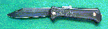 larger image
