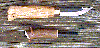 Click here for an enlarged image of the knife
and it's sheath.